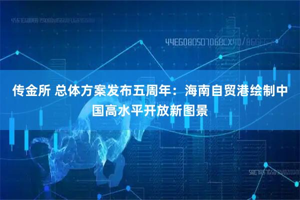 传金所 总体方案发布五周年：海南自贸港绘制中国高水平开放新图景