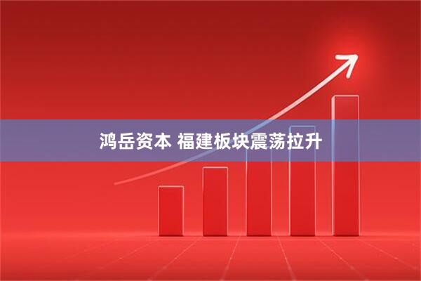 鸿岳资本 福建板块震荡拉升